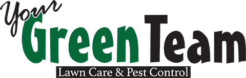 Your Green Team Logo